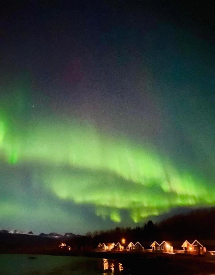 Idyllisk Sjohus Pa Naurstad Bodø Exterior foto